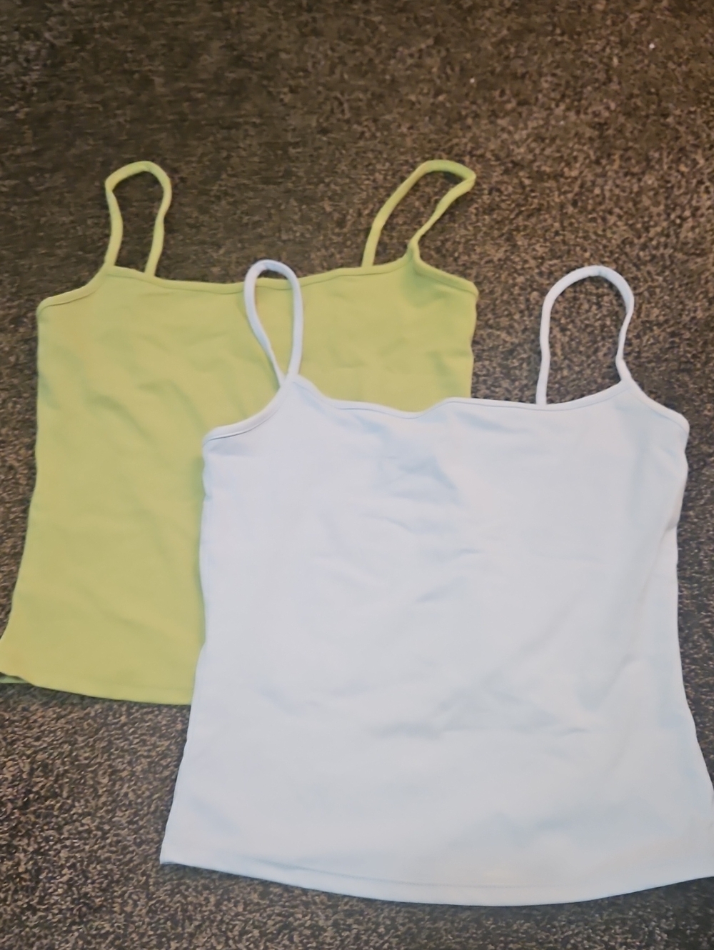 GARAGE Sleek Scoop Tank Top - Blue and Light Green